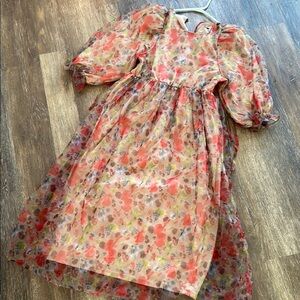 Polagram Floral fully lined Sheer Dress with Puff Sleeves